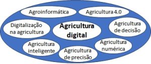 A figura destaca o termo "agricultura digital" no centro, com diversos outros termos relacionados ao redor: digitalização na agricultura, agricultura inteligente, agroinformática, agricultura 4.0, agricultura de precisão, agricultura de decisão e agricultura numérica