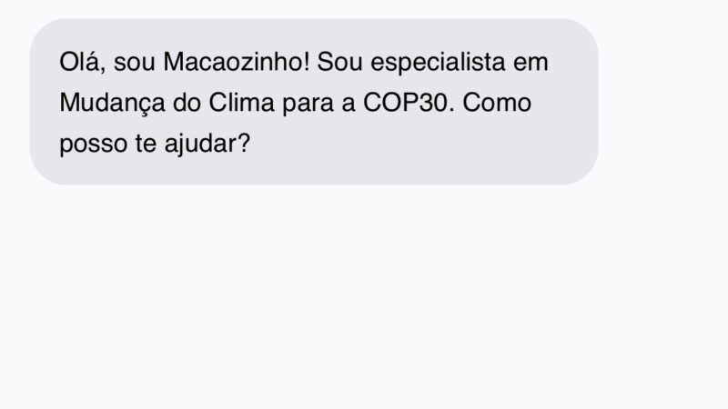 Macaozinho: um chatbot confiável que vai badalar a COP30