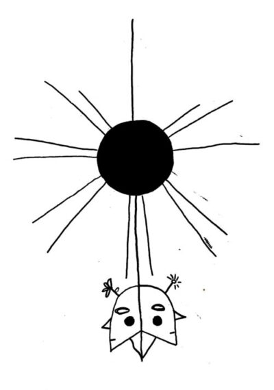 Variáveis e variantes